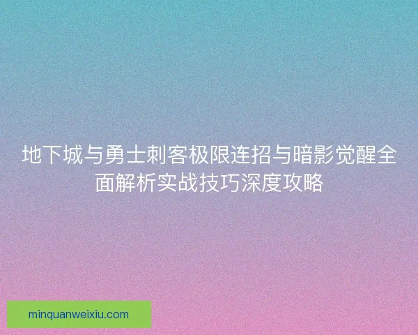 地下城与勇士刺客极限连招与暗影觉醒全面解析实战技巧深度攻略
