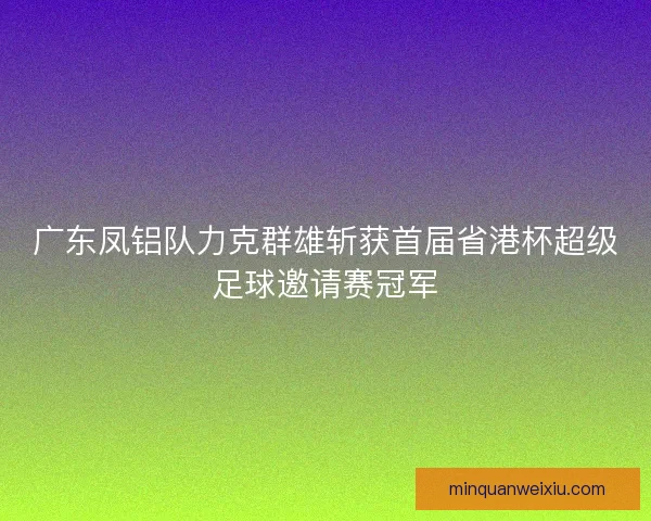 广东凤铝队力克群雄斩获首届省港杯超级足球邀请赛冠军